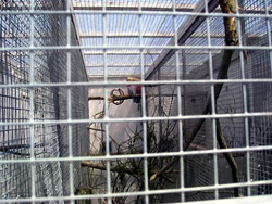 sommerudflugt region fyn 2012 120r